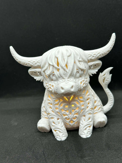 Highland Cow