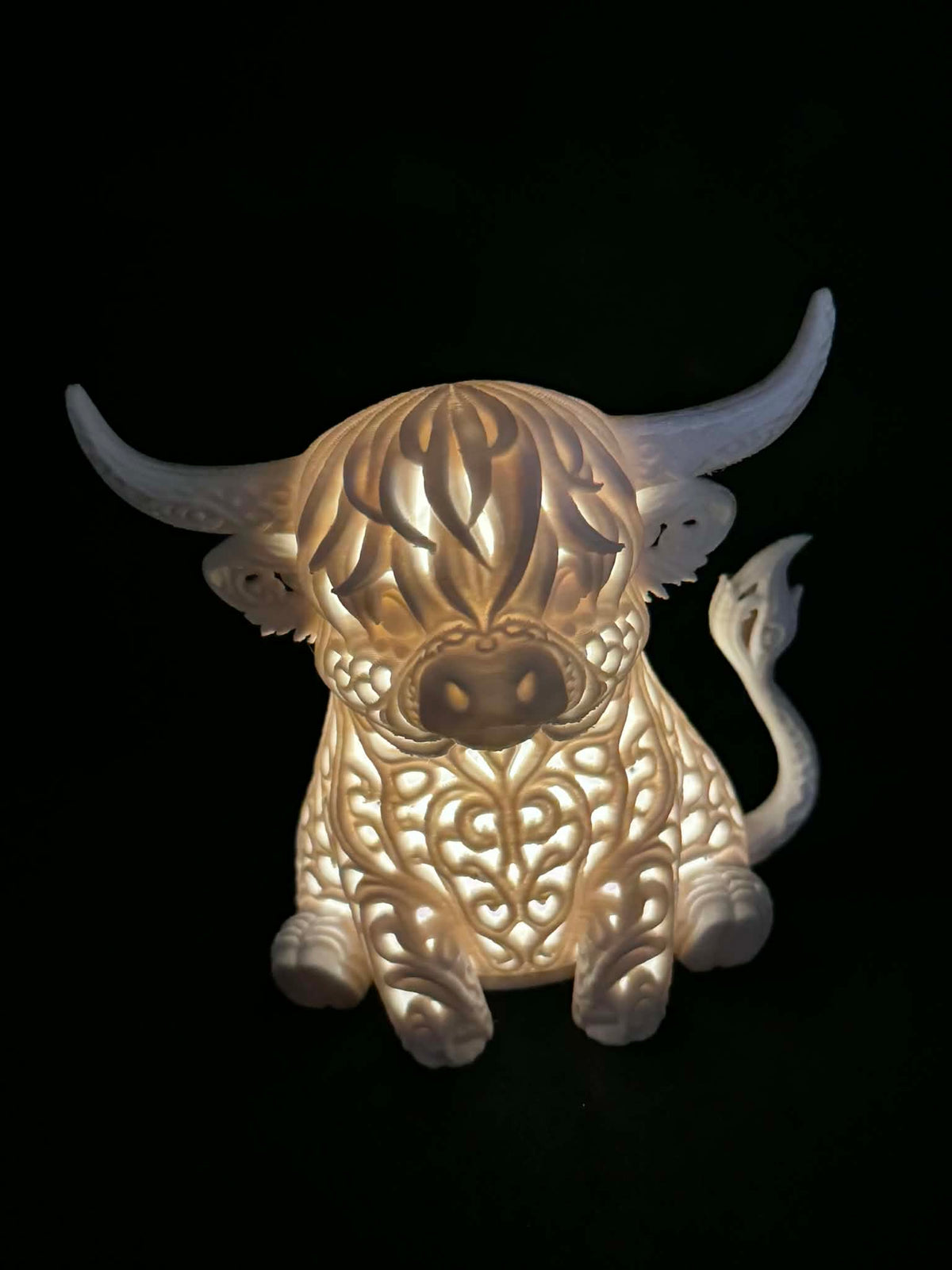 Highland Cow