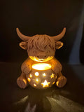 Highland cow with pumpkin
